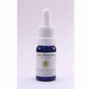 Ajo Silvestre – 10 ML