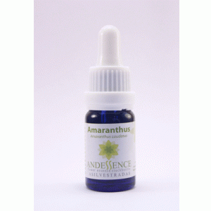 Amaranthus – 10 ML