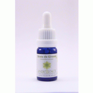BROTE DE GIRASOL – 30 ML