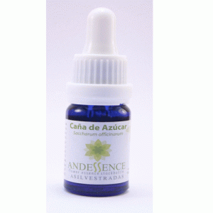 Caña de Azucar – 30 ML