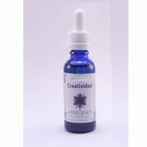 Creatividad – 10 ML