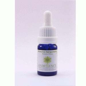 Mimulus Sanguinaria – 30 ML