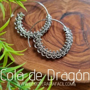 Pendientes cola de dragón