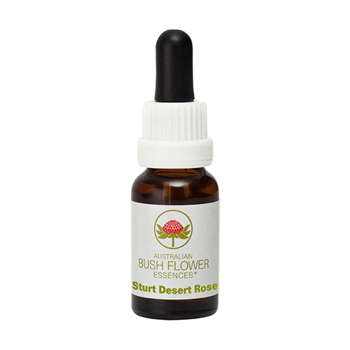 STURT DESERT ROSE 15 ML-STOCK BOOTLE-BUSH