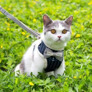 Pechera Chester (Para Gato y Perro)