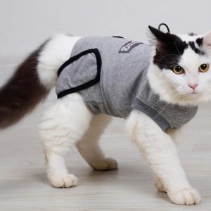 Sana Sana Cat (Faja para Gato)